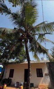 Mulagumoodu,Kanyakumari,Tamilnadu,India.