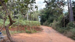 Villukuri,Kanyakumari, Tamil Nadu , India