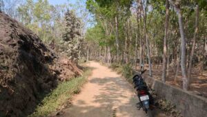 Andoor, Kanyakumari,Tamil Nadu, India