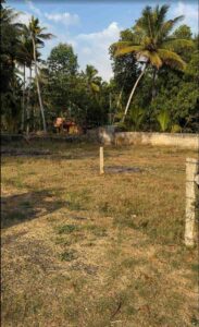 Karungal,Kanyakumari,Tamil Nadu, India