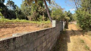 Manakkarai, Kanyakumari,Tami Nadu, India