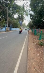 Monday Market - Colachel Rd, Kanyakumari, Tamil Nadu, India