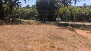 Muttukadu, Kanyakumari,Tamil Nadu, India