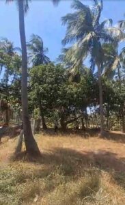 Mylaudy,Kanyakumari,Tamil Nadu, India