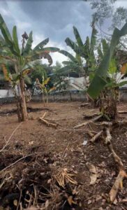 Thiruvattaru, Kanyakumari,Tamil Nadu, India