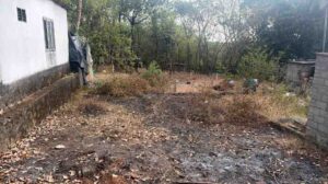 Thiruvithamcode, Kanyakumari,Tamil Nadu, India