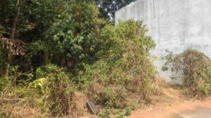 Thuckalay, Kanyakumari,Tamil Nadu, India