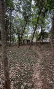 Maruthoorkurichi,Kanyakumari,Tamil Nadu, India