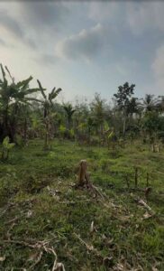 Maruthoorkurichi,Kanyakumari,Tamil Nadu, India