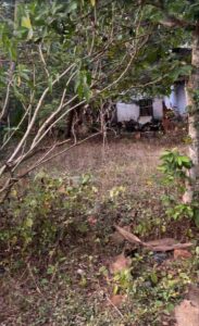 Palappallam, Kanyakumari,Tamil Nadu, India