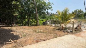 Thuckalay, Kanyakumari,Tamil Nadu, India