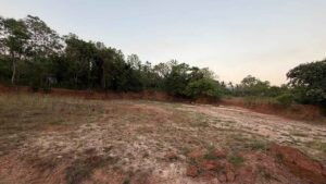 Alur, Kanyakumari,Tamil Nadu, India