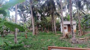 Alwarkoil,Kanyakumari,Tamil Nadu,India