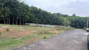 Thiruvarambu, Kanyakumari,Tamil Nadu, India