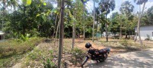 Thingal Nagar, Kanyakumari,Tamil Nadu, India